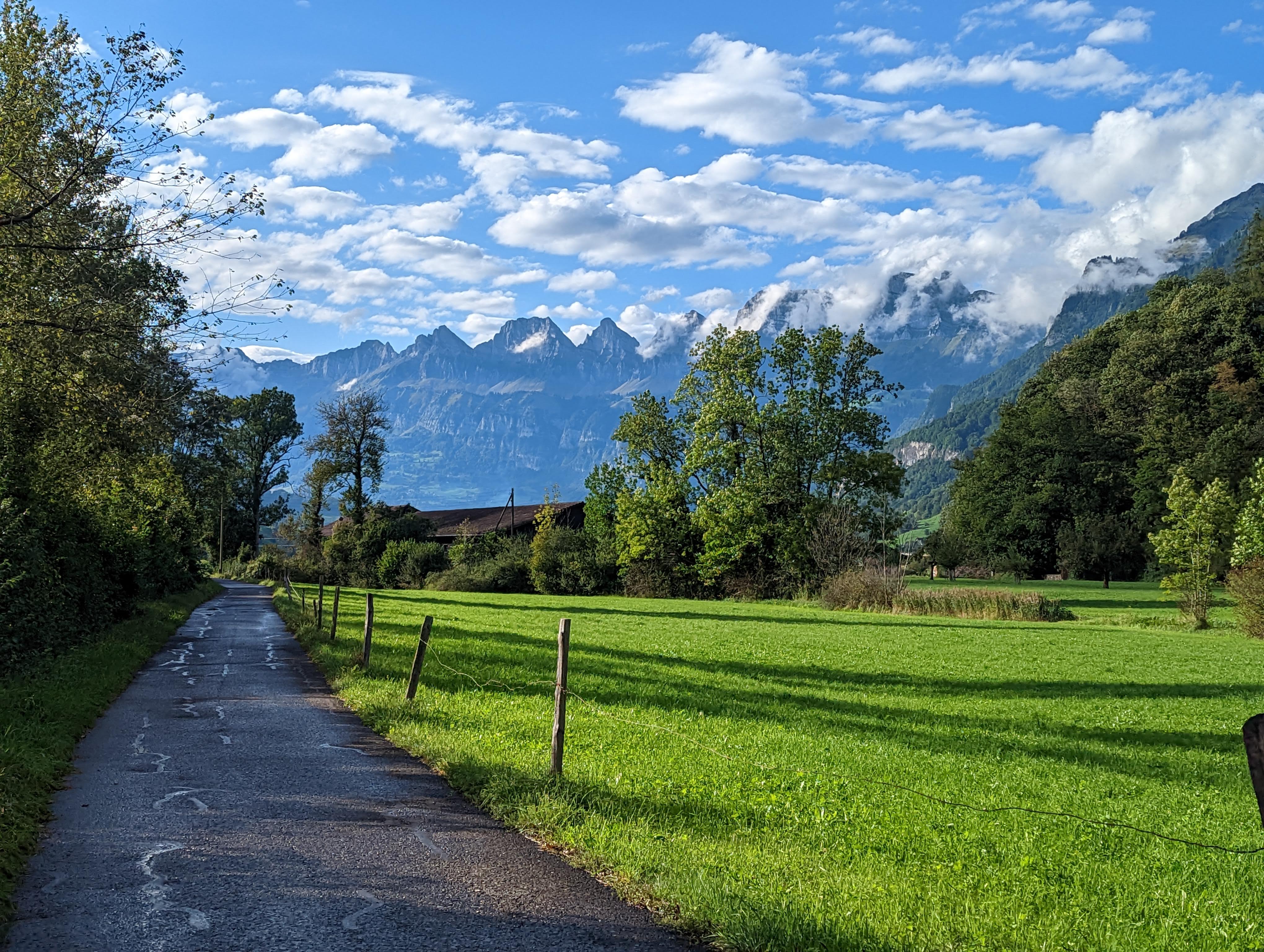 Swiss nature