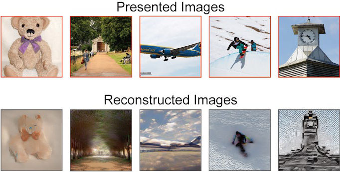 Image stimulus and reconstruction